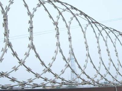 High quality hot dipped galvanized diamond razor barbed wire mesh anti climb welded concertina blade razor wire fence 4