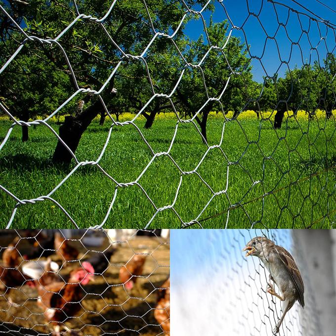 Factory supply 1" chicken hot dipped galvanised hexagonal wire mesh 3