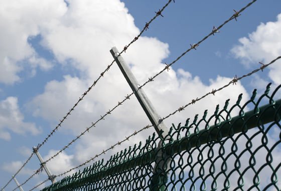 BWG16 Hot Dipped Galvanized Barbed Wire Price Per Roll Barbed Wire Fence