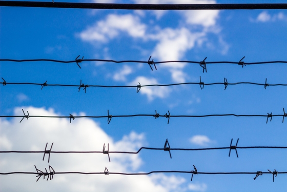BWG16 Hot Dipped Galvanized Barbed Wire Price Per Roll Barbed Wire Fence